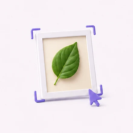 A leaf image with a selection marker