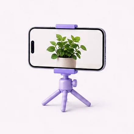 A phone on a tripod recording a plant